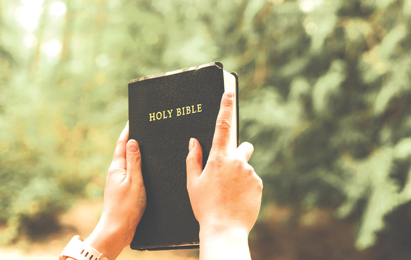 guard-against-deception-by-knowing-the-bible-insight-for-living-canada